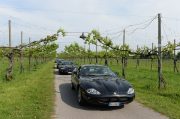 Le Jaguar nella zona del Prosecco e Cartize (127/152)